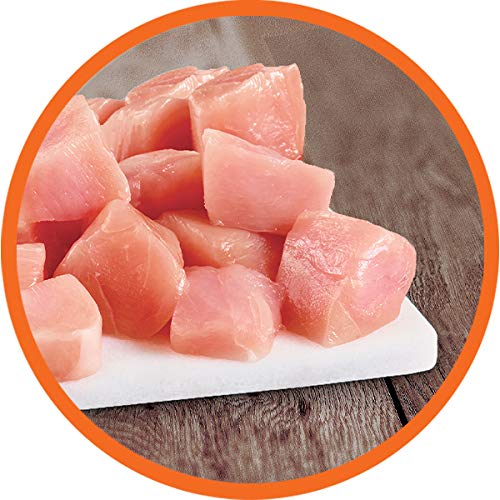 Iams Proactive Health Healthy Adult Dry Cat Food and Grain Free Paté Wet Cat Food, Chicken Recipes - Image 7