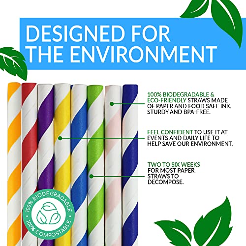 Pitillos de papel biodegradables surtidos 400 unidades miniatura 3