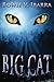 Big Cat
