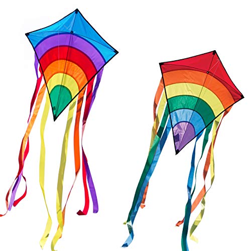  CIM Lot de Cerfs-Volants - Rainbow Eddy [ 2 un...