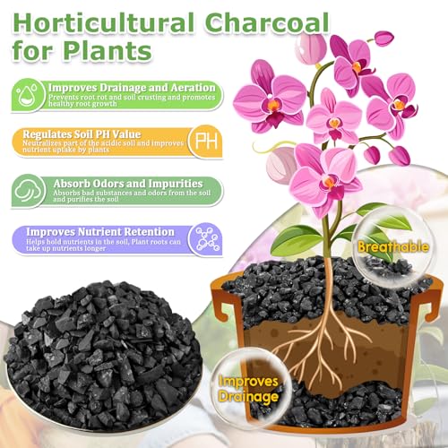 Image of Legigo 2 QT Horticultural Charcoal- Natural Biochar Soil Amendment