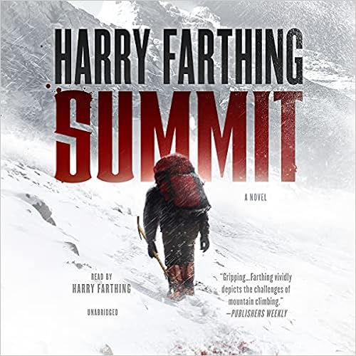 Summit: A Novel book cover