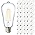 Sunco 40 Pack Edison Bulbs LED ST64, Clear Vintage Filament Waterproof Bulb, 800 LM, 8W (60W Equivalent), ST19, 5000K Daylight, E26 Medium Base, Decorative Dimmable UL