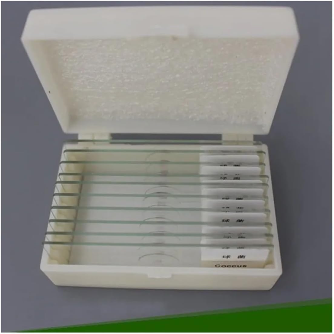 顕微鏡 科学生物学研究用のプロフェッショナル準備微生物顕微鏡スライド 10 個