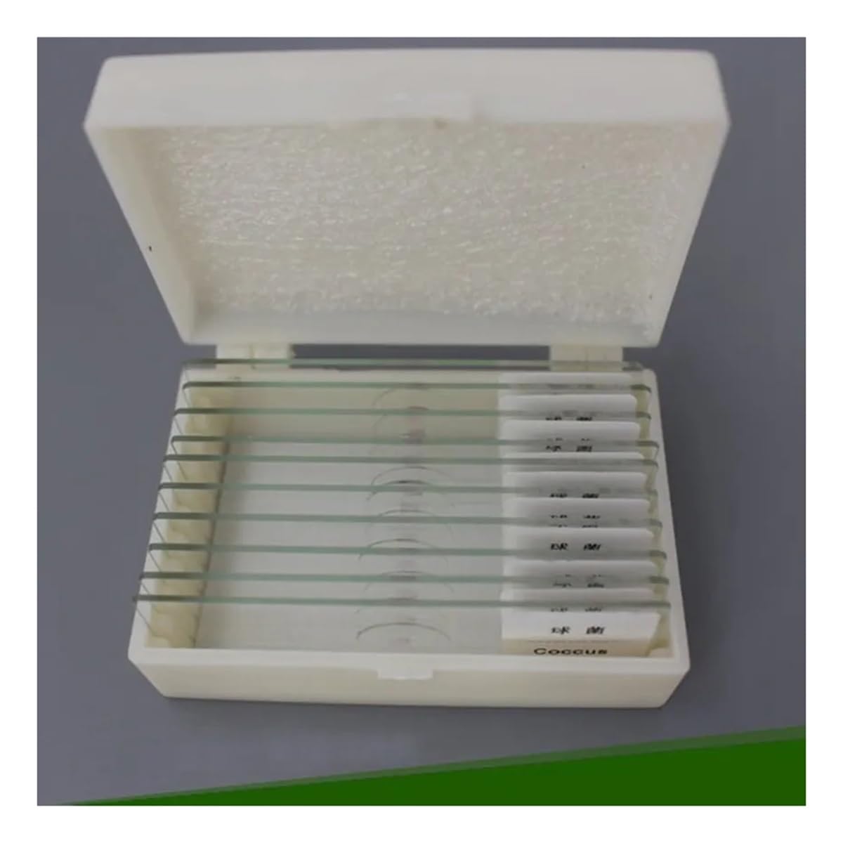 Kit accessori per microscopio Vetrini for microscopio microbico preparati professionali da 10 pezzi for la ricerca sulla biologia scientifica Vetrini per microscopio