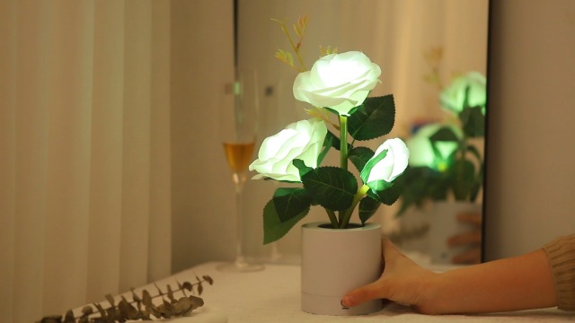 Image of Rose Night Light Gifts for Womens, Christmas Day Gifts for Mom Women Wife Friends Her Christmas Anniversary Birthday Gift, Perfect Ideal for Bedroom Ambiance Coffee Shop