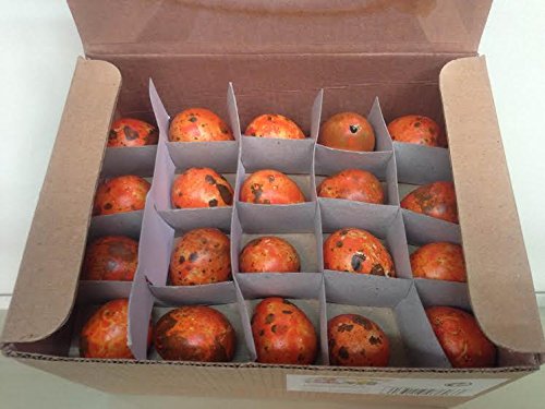 Box 60 pz uova piccole pasqua colorate ovetti uovo...