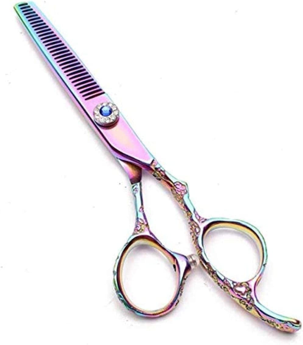 Ciseaux de Coiffure, Ciseaux à effiler de 15 cm (6 Pouces), kit de Coiffure Professionnel, Manche Prune, pour Salon de Coiffure.