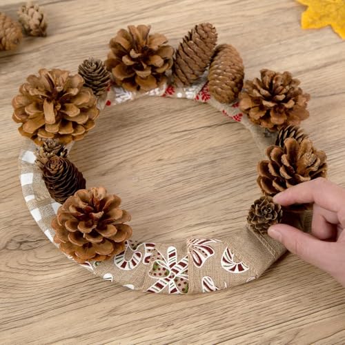 Image of 20PCS Natural Pinecone Ornaments, Pine Cones Bulk Natural Pinecones Assortment for Fall Winter Christmas Bowl Fillers (Natural)