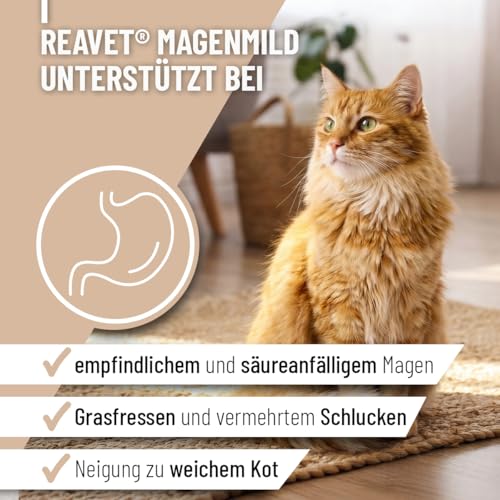 ReaVET Magenmild Pulver für Katzen – Bei empfindlichem Magen, Neigung zu Erbrechen, Würgen, Sodbrennen oder weichem KOT – Magenpulver naturrein mit Bentonit, Heilerde I 50g