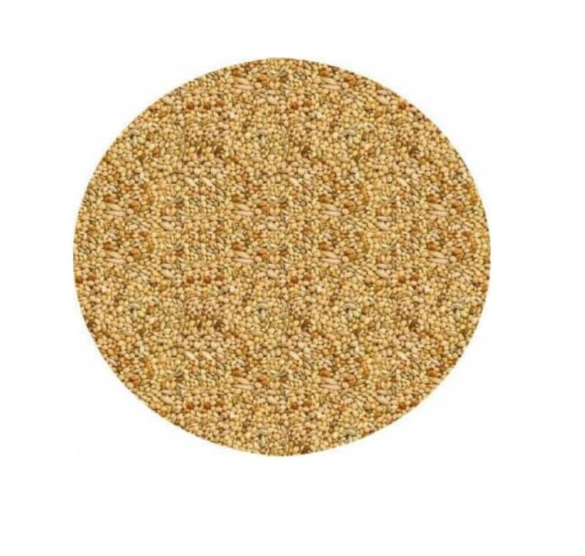 Henry Bell Budgie Seed 5kg - Millet Flavour for Budgie Owners, All Life Stages, Small Breeds, 5kg