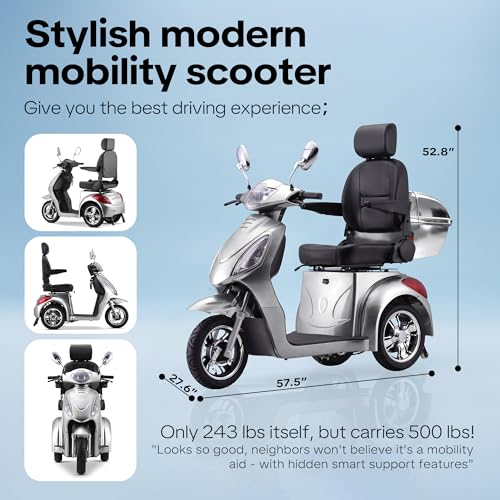 Image of Heavy Duty 3 Wheel Mobility Scooters for Seniors & Adults 500lbs Capacity-800W Mobility Scooters 31 Miles Long Range, All Terrain Electric Powered Mobility Scooters Handicap Mobility Scooter (Silver)
