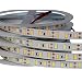 MARSWELL High-quality LED Strip Lights Pure White 6000K-6500K High CRI 80+ SMD5630 Non-waterproof