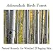 Adirondack Fragrance & Flavor Farm ADK Birch Soap Natural Soap Bar 16oz, Plant-Based Organic Vegan Soap with Essential Oils, Natural Body Wash for Men & Women, Dry and Sensitive Skin