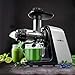 Juicer Machines, Oneisall Slow Masticating Juicer Extractor Easy to Clean, Tritan & BPA-Free, Anti-Drip and 5 Mode Adjustment, Cold Press Juicer with Quiet Motor, Recipes for Vegetables and Fruits