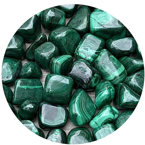 Image of GAF TREASURES 1 /2 LB Malachite Tumbled Stones, Polished Natural Malachite Gemstone, Malachite Healing Crystals (Malachite)