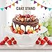 Vkinman 12Inch Porcelain Round Cake Stand, Dessert Stand, Cake Stand for Party, Home Decorating Stand
