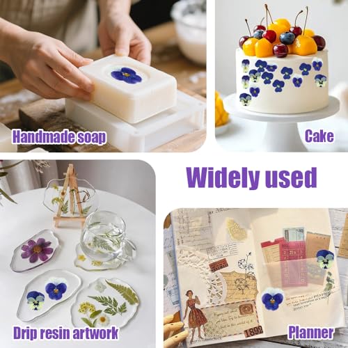 Kit de flores secas para manualidades miniatura 7