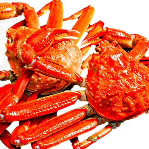 タグ付き松葉ガニ 大サイズ1kg以上 贈答用(ボイル済み冷蔵)[11月中旬-3月中旬頃出荷]