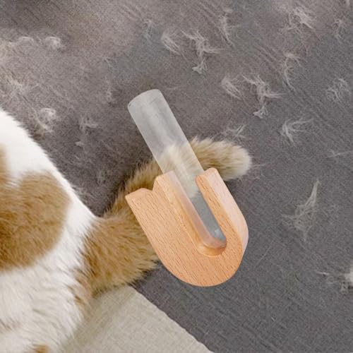Vase à moustaches de chat et poils d'animaux en verre et bois pour collectionneur