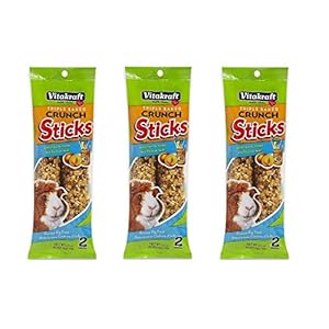 Vitakraft Fruit Stick Guinea Pig Treat [Set of 3]