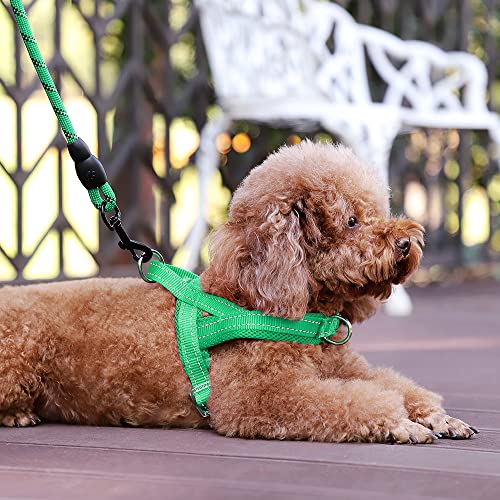 Image of Plutus Pet No Pull Dog Harness for Small Dogs, Breathable Mesh Padded