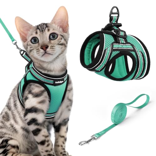 Image of rabbitgoo Cat Harness and Leash Set, Step-in Soft Vest, Green | Escape Proof, Lightweight, Easy-on & Adjustable, Hook & Loop with Buckle, Reflective, for Small Cats Walks, XL