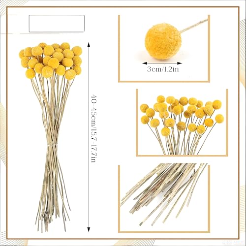Ramo de 30 flores secas Billy Balls color dorado miniatura 2