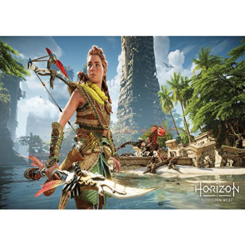 Renranshige Horizon Forbidden West Poster 6 Pcs Game Room Decor & Gamer Posters For Boys Room Gamer Wall Art For Game Room Wall Decor Gaming Posters Video Games 10X14 Inch Unframed #TOP5