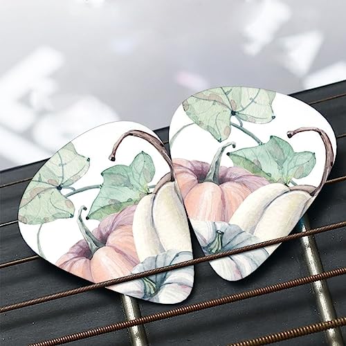 Lot de 12 médiators en forme de citrouille pour guitare électrique et basse - Les Beatles, Paul McCartney, John Lennon, RIngo Starr, George Harrison Lot de 12 médiators en forme de citrouille pour guitare électrique et basse – Image 8