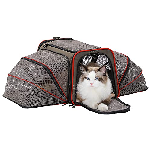 Top 10 Cat Carrier For Long Car Trips of 2022 Best Reviews Guide
