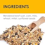 Heath Outdoor Products birds DD4-10 All Season High Energy Suet Cake, Case Of 10 - Image 3