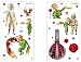Hape The Little Prince Discovery Wall Stickers
