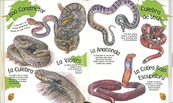 Paperback Mi primera enciclopedia de los animales [Spanish] Book