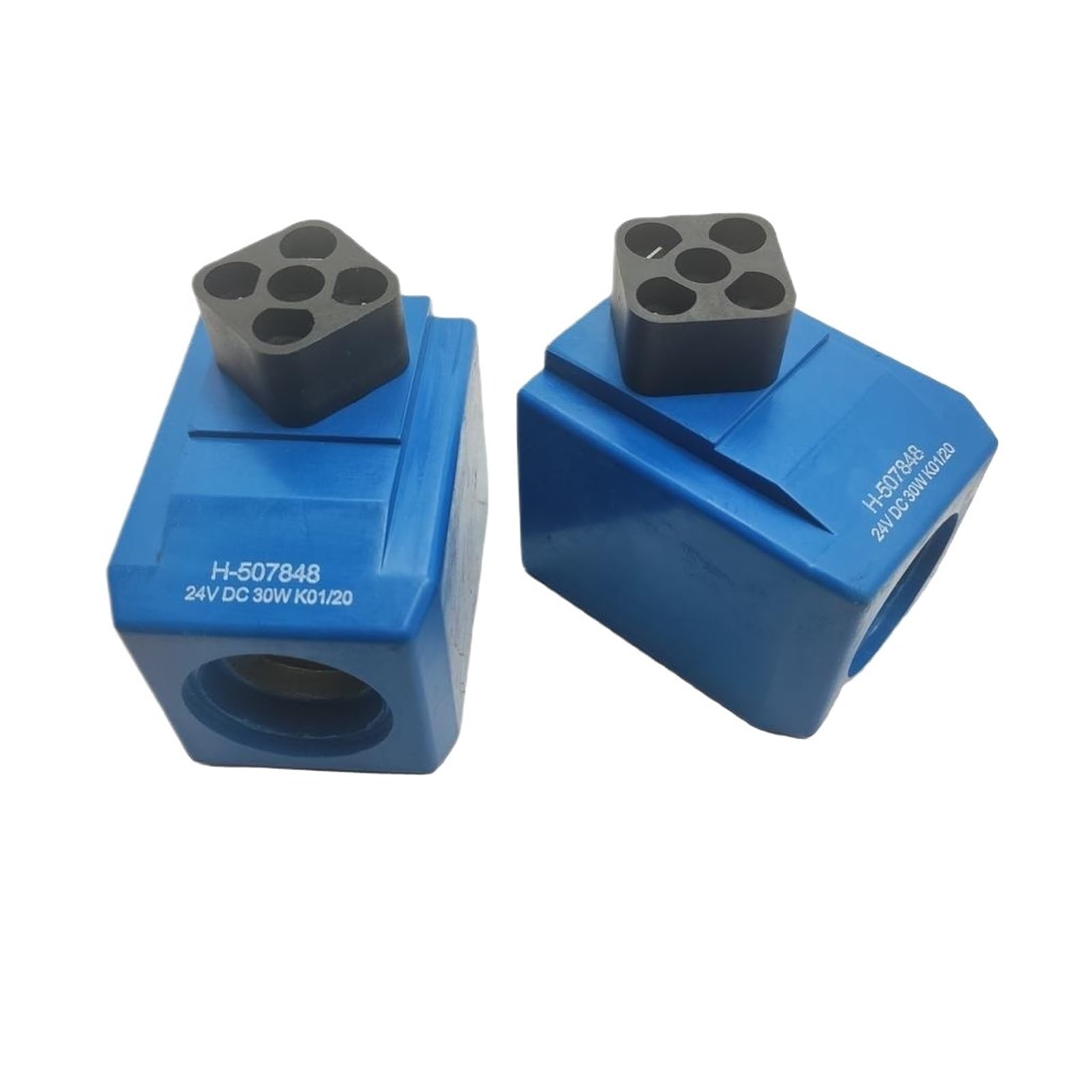 KSZHZYMGX 1pcs Solenoid Valve Coil H507848 (24V) H507834 (220V) Coil for Solenoid Valves(H-507848)