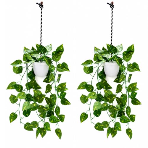 Image of fancymart Artificial Hanging Ivy Plant with White Hanging Pot & Rope, Pack of 2, Realistic Green Leaf Creeper for Home, Office, Living Room & Wall Decor, 60 cm Height