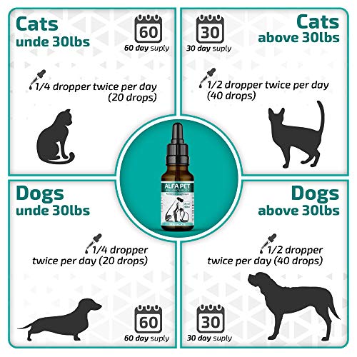 Kennel Cough Medicine for Dogs, Organic Dog Cough Medicine for Colds and Allergies - Natural Kennel Cough Treatment with Mullein Leaf and Elderberry - Thumbnail 4