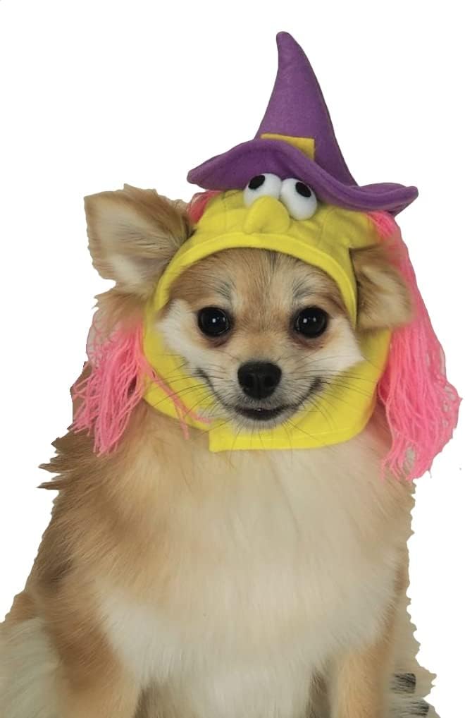 Rubie's Witch Pet Costume, Small
