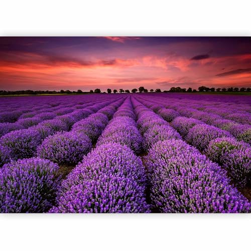 artgeist Wall Mural Landscape 135x101 in - Peel and Stick Self-Adhesive Wallpaper Removable Large Sticker Foil Wall Decor Print Picture Image Nature Lavender Field Provence b-B-0624-a-a