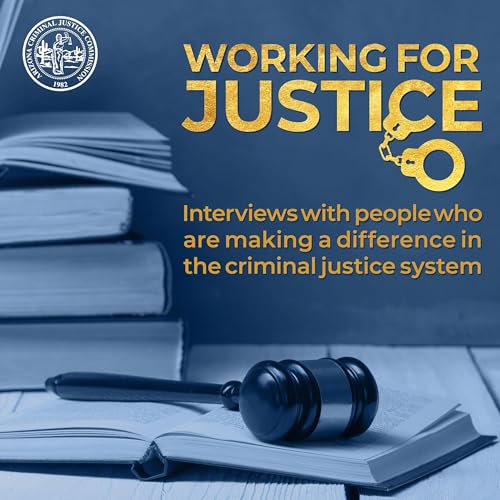 『Data Integration Program Manager - Matt Bileski』のカバーアート