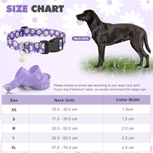 BiPawTi Süßes Hundehalsband Mittelgroße Hunde - Weiches, Verstellbares Halsband mit Margeritenanhänger & Hübsches Blumen Margeritenmuster - Lila Hundehalsband für Mittlere Hunde, M