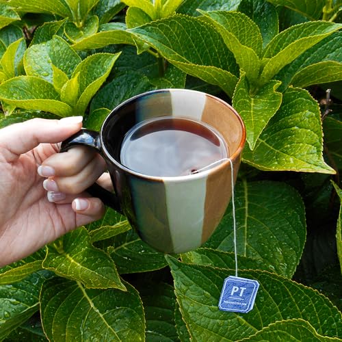 Image of Organic Positively Tea Company, Decaf English Breakfast Black Tea Bags, 20 Count
