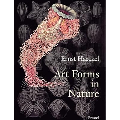 Art Forms in Nature