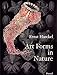 Art Forms in Nature: The Prints of Ernst Haeckel