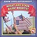 What Are Your Basic Rights? (Know Your Government)