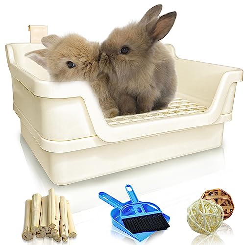 Rated 4.3 out of 5 stars from 519 reviews