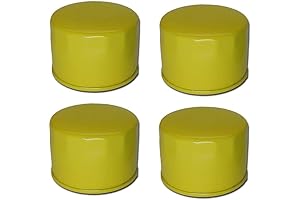 Raisman Oil Filter: Shielding Your Briggs Engine