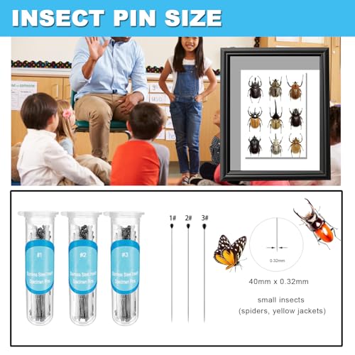 Image of Butterfly Specimen Kit Includes pins, mounting Board, Spreading Tools, Display case, Labels, Forceps, Preserving and showcasing Butterfly specimens.Shadow Boxes (BIACK-01) (WHITE-01)