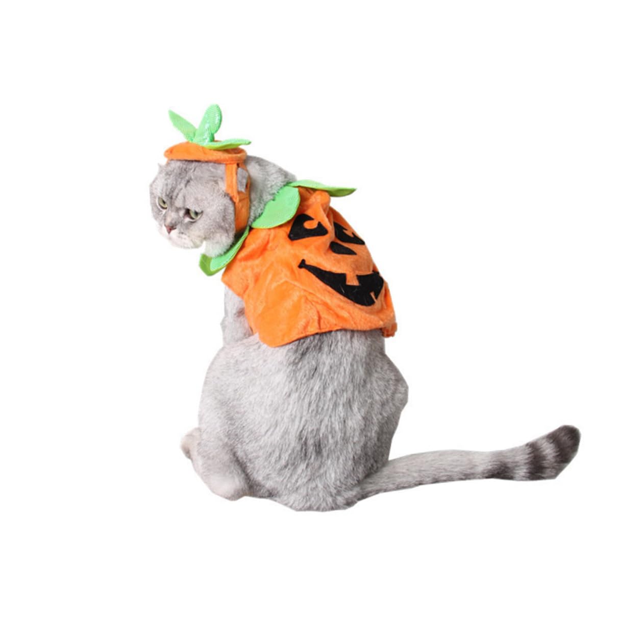 Beavorty 2 Pezzi Costumi Di Zucca Per Cani Cappotto Per Gatti Gattino Ornamento Cucciolo Di Zucca Per Animali Domestici Vestito Da Cappello Da Strega Cappello Arancione Costume Da