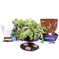 Algopix Similar Product 7 - Seedsheet Grow Your Own Mini Salad